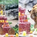 우리생고기 이미지