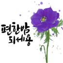 수채 담은 캘리그라피 이미지
