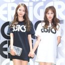 스텔라 OSEN
