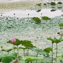 오천그린광장 이미지