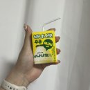 명절 전 하얗게 불태운다..🔥