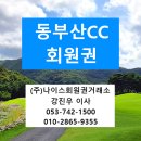 부산골프플러스