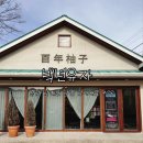 백년축산2 | 남해 가면 꼭 들러야 할 곳,백년유자 2호점｜유자원액 테이스팅 후기