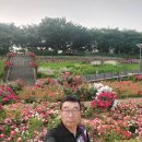 장미원 당구장 이미지