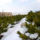 초복농장 이미지