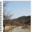 홍천밸리