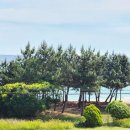 망양삼성모텔 이미지