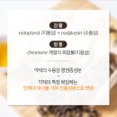 금산거북이한의원