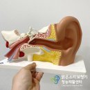 남원제일보청기 | <전주보청기> 60대 어머님 남원 보청기 출장 다녀온 후기