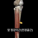 디야요가