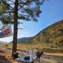 당숲길 | 강원도 원주 노지캠핑, 차박 추천🏕️ 아랫당숲