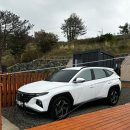 새울림오토캠핑장 이미지