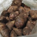 김태순농장 이미지