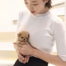 제이애견샵 이미지