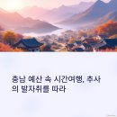 온천과 함께하는 솔바람길 | 역사와 자연이 함께하는 충남 예산 추사 기념코스 추천