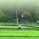 양평동막골