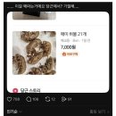 당근에서 파는 매미허물 이미지