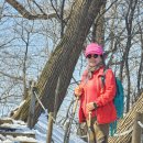 우면산3-19 이미지