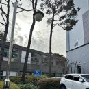 온니네일 이미지