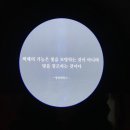 색채의 마술사, 앙리마티스 이미지