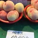 충무오거리길 이미지