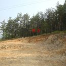 여주-0980 이미지