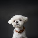 핸즈프렌즈협동조합 이미지