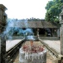 베트남 향기 이미지