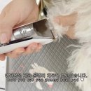 마릴린펫 이미지