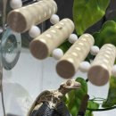 토리스토리 | 도마뱀 먹이 고민 끝, 기호성 좋은 토리멀밥 후기크레스티드게코 먹이 크레스티드게코 사료