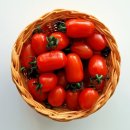 산직농장 | [화이트앤코] 스테비아 방울토마토 토망고 / 스윗마토, 다이어트 건강식단 추천