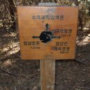 (주)참손 이미지