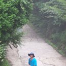 해바리민박 이미지