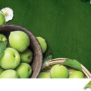 주식회사 미보 이미지