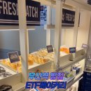 데일리지몽