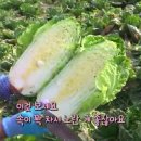 화원 청용리 이미지