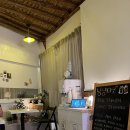 냥냥타코 이미지