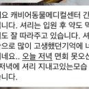 캐비어동물메디컬센터 이미지