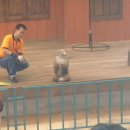 (주)박상 이미지