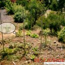 하촌농장 이미지