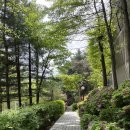 ORAKSIL3 | 서초 나들 👉 디자인 아트페어 2024, 반포 한강공원