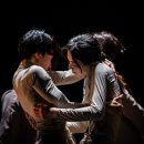 대구시립무용단 제79회 정기공연 <존재> 이미지