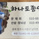 산양삼씨앗 판매 이미지