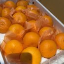 종남농장 이미지