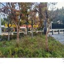 서현도서관 이미지