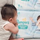 본차차 | 여름엔 기저귀 왜 바꿔야 할까? 팸퍼스 엔젤 에어차차 썸머팬티 입혀본 후기
