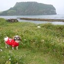 친정공인중개사사무소 이미지