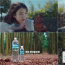 인피알