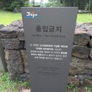 하원동 탐라왕자묘 이미지