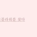 별플라워 이미지